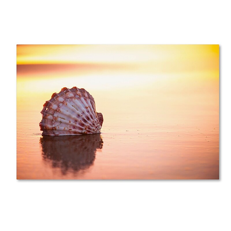 Trademark Fine Art Chris Moyer 'Battered But Beautiful' 22 x 32 (ALI0773-C2232GG) image 1