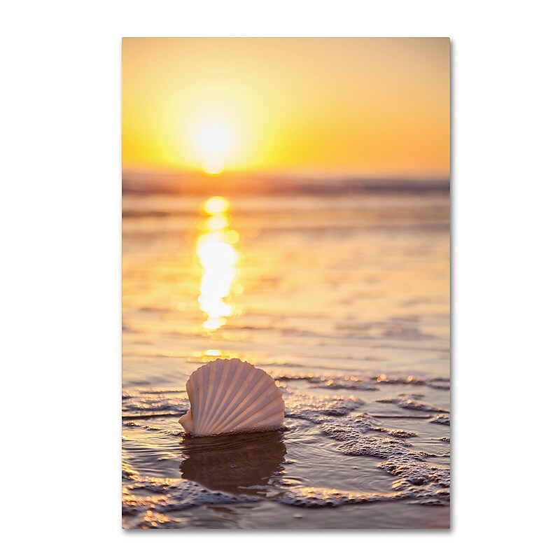 Trademark Fine Art Chris Moyer 'Pop The Bubbly' 16 x 24 (ALI0774-C1624GG) image 1