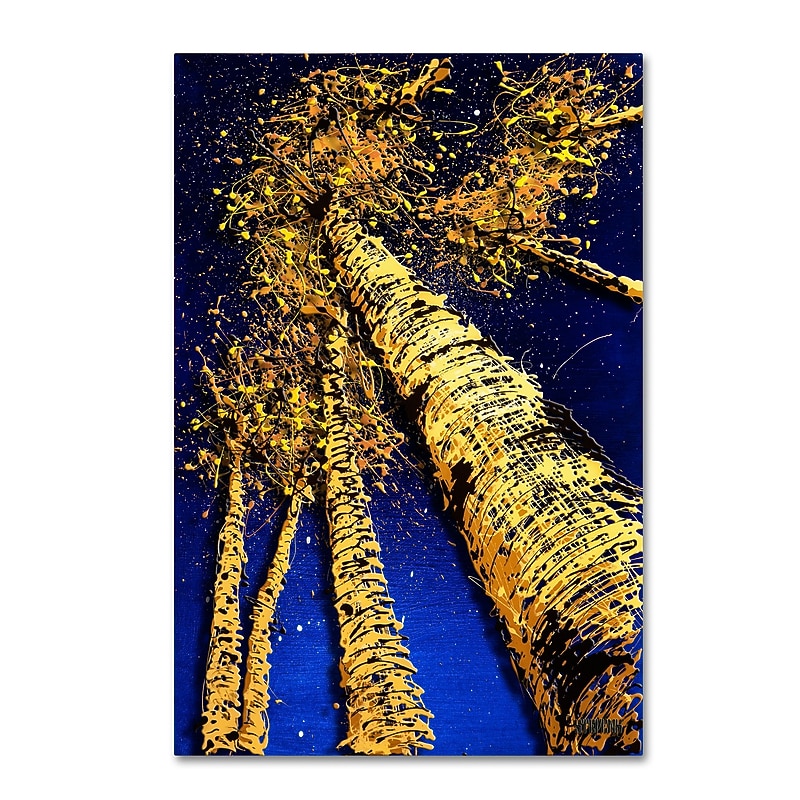 Trademark Fine Art Roderick Stevens 'Aspen Sky 2' 30 x 47 (RS999-C3047GG) image 1