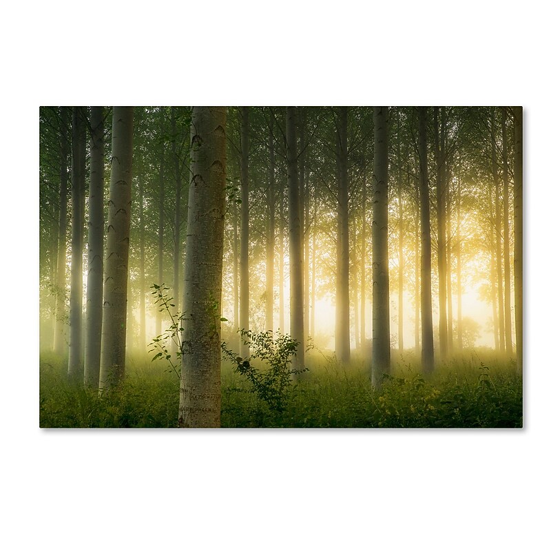 Trademark Fine Art Mathieu Rivrin 'Enchanted World' 12 x 19 (RV0036-C1219GG) image 1