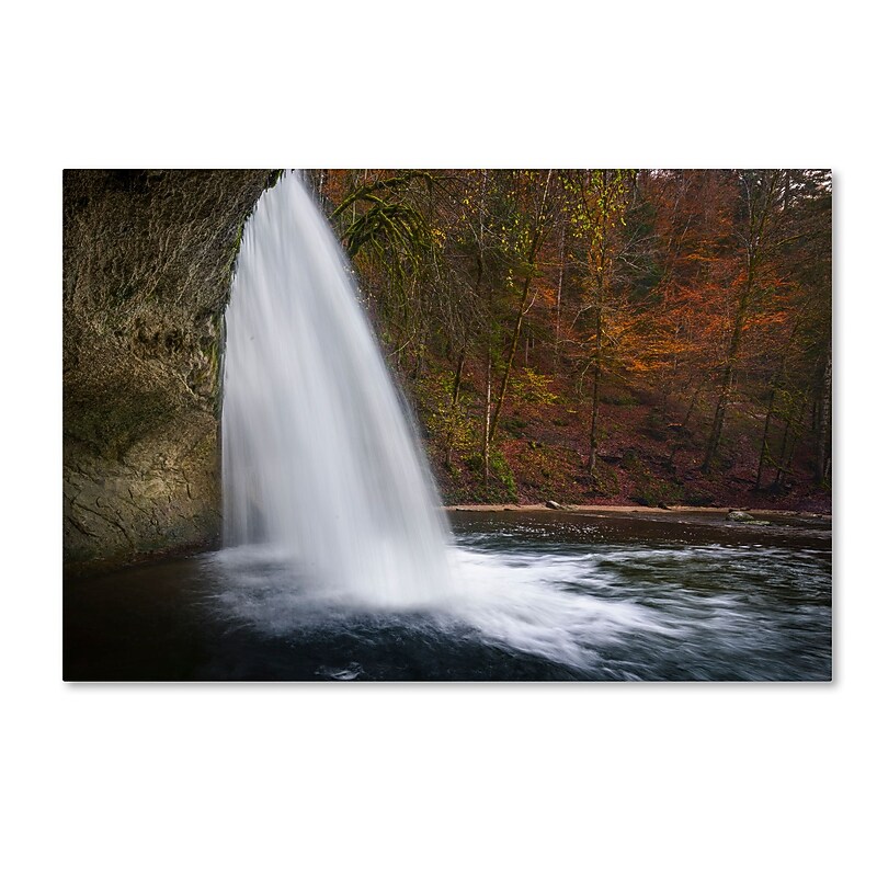 Trademark Fine Art Mathieu Rivrin 'Nature Beauty' 30 x 47 (RV0038-C3047GG) image 1