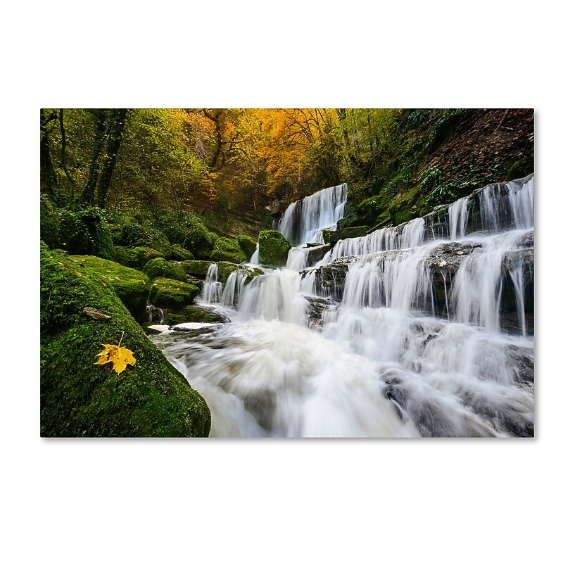 Trademark Fine Art Mathieu Rivrin 'The Song of the Autumn' 30 x 47 (RV0042-C3047GG) image 1