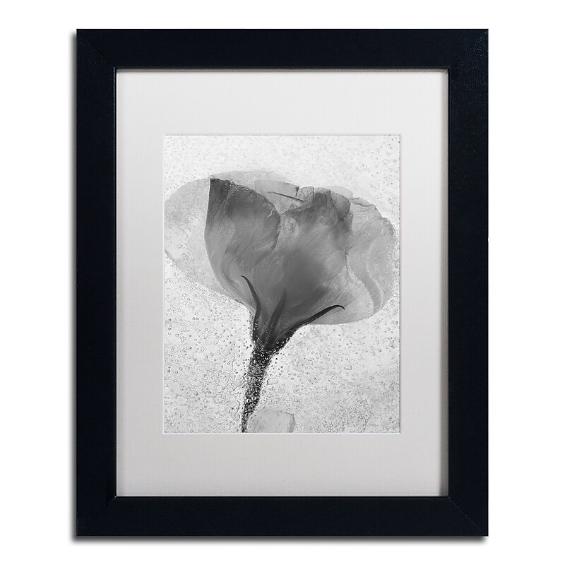 Trademark Fine Art Moises Levy 'Flowers on Ice BW-2' 11 x 14 (ALI0732-B1114MF) image 1