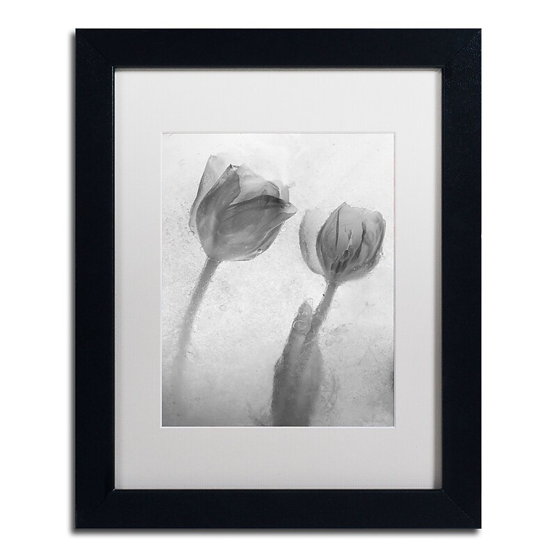 Trademark Fine Art Moises Levy 'Flowers on Ice-1' 11 x 14 (ALI0733-B1114MF) image 1