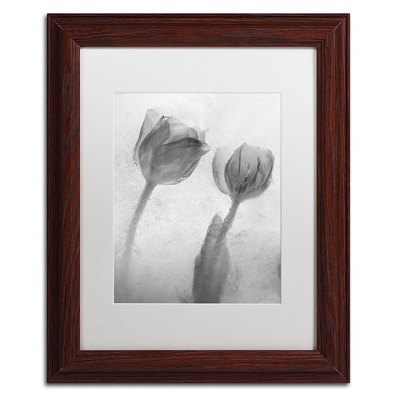 Trademark Fine Art Moises Levy 'Flowers on Ice-1' 11 x 14 (ALI0733-W1114MF) image 1