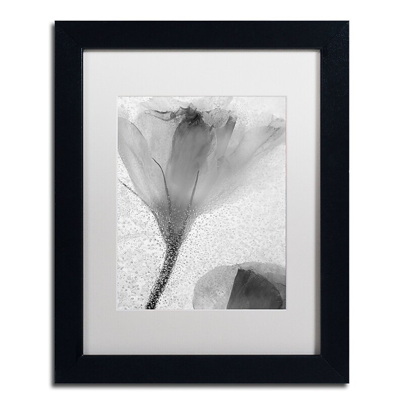 Trademark Fine Art Moises Levy 'Flowers on Ice-13' 11 x 14 (ALI0734-B1114MF) image 1