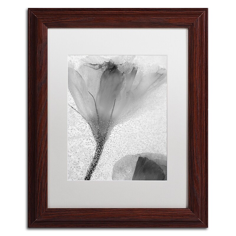 Trademark Fine Art Moises Levy 'Flowers on Ice-13' 11 x 14 (ALI0734-W1114MF) image 1