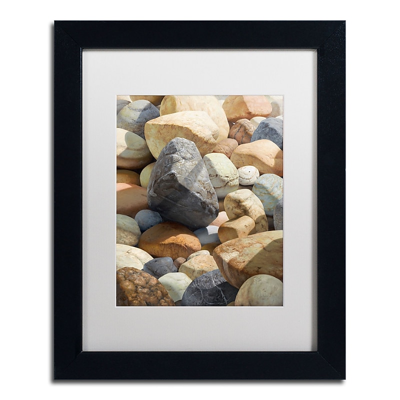 Trademark Fine Art Stephen Stavast 'A Bolder View' 11 x 14 (ALI0740-B1114MF) image 1