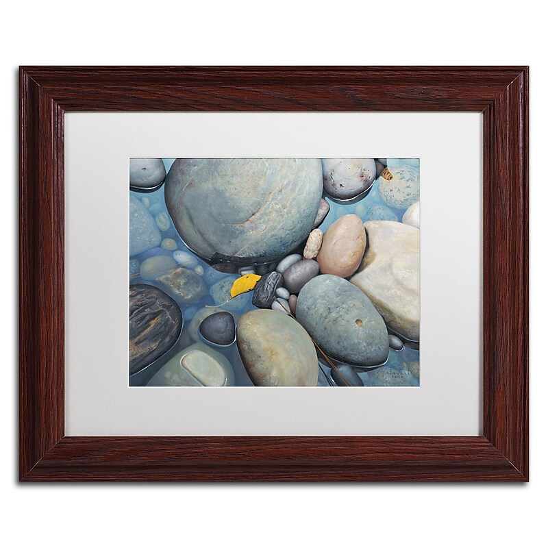 Trademark Fine Art Stephen Stavast 'Reflections on a Gray Day' 11 x 14 (ALI0744-W1114MF) image 1