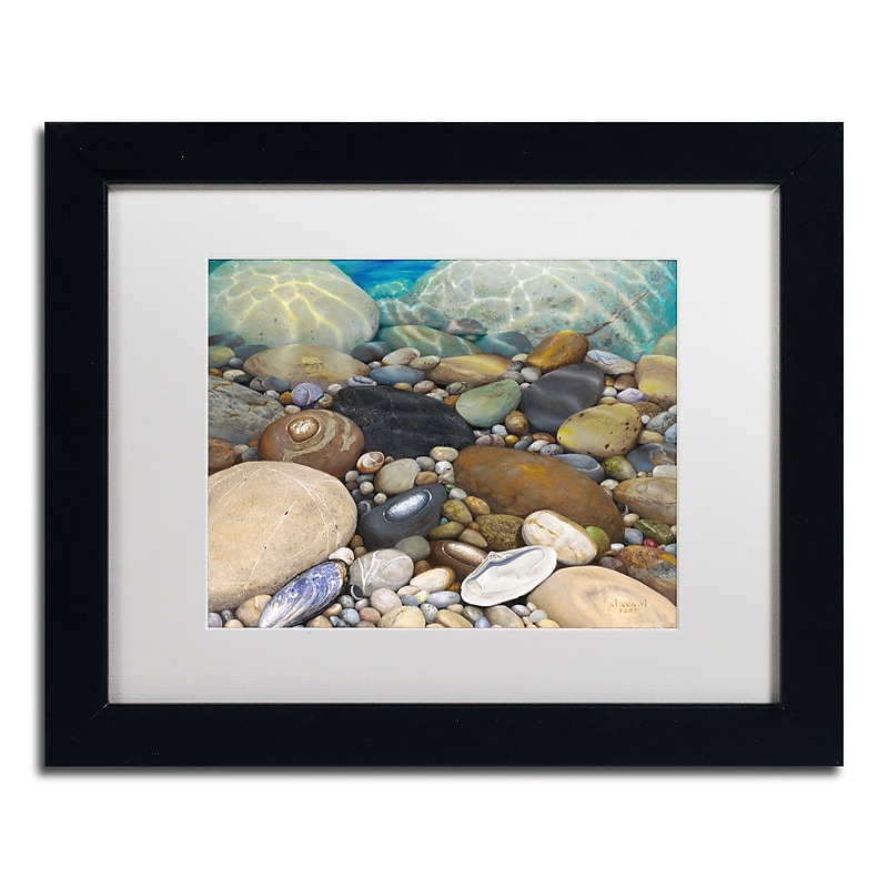 Trademark Fine Art Stephen Stavast 'Shoreline Treasures' 11 x 14 (ALI0746-B1114MF) image 1