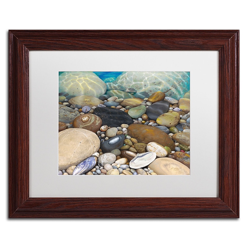 Trademark Fine Art Stephen Stavast 'Shoreline Treasures' 11 x 14 (ALI0746-W1114MF) image 1