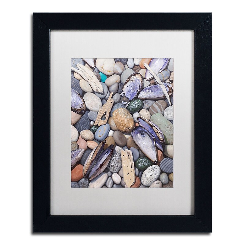 Trademark Fine Art Stephen Stavast 'Treasure at Muscle Beach' 11 x 14 (ALI0747-B1114MF) image 1