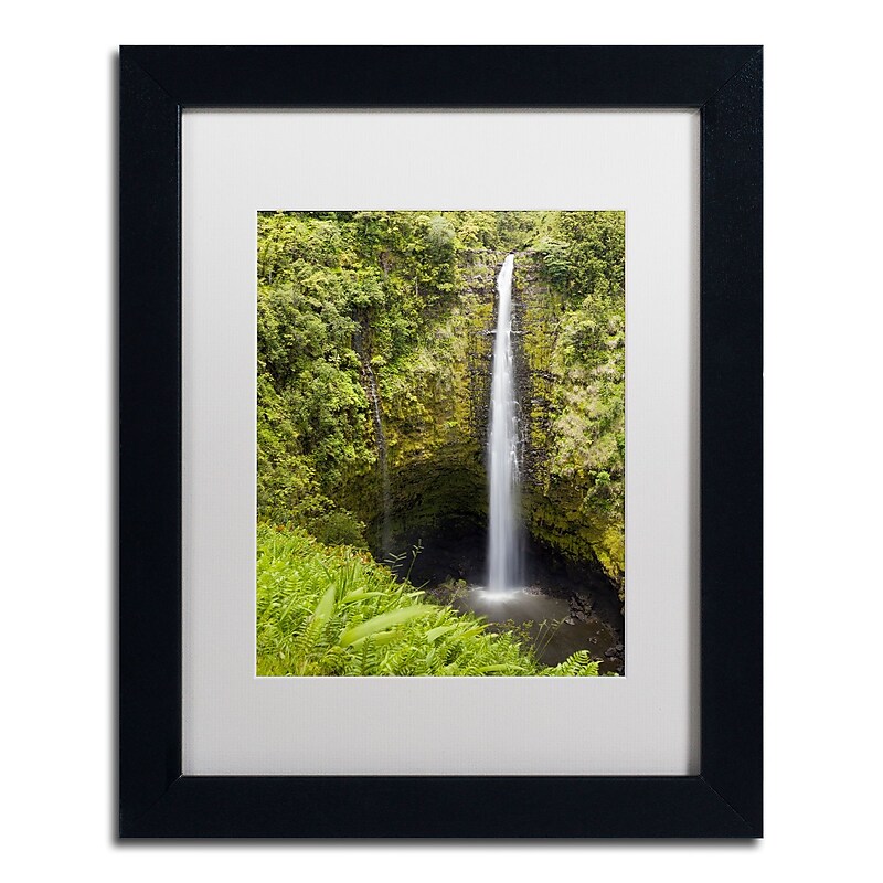 Trademark Fine Art Chris Moyer 'Akaka Falls' 11 x 14 Framed Art Print (ALI0769-B1114MF) image 1