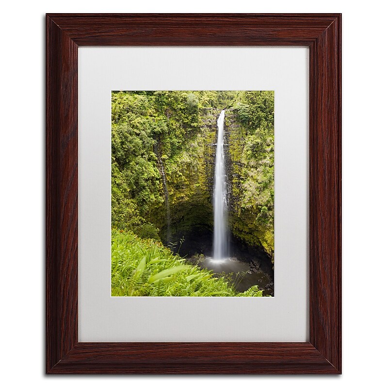 Trademark Fine Art Chris Moyer 'Akaka Falls' 11 x 14 Framed Art Print (ALI0769-W1114MF) image 1