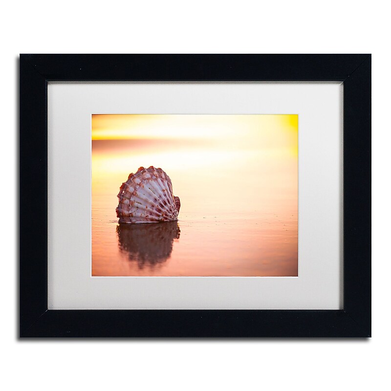Trademark Fine Art Chris Moyer 'Battered But Beautiful' 11 x 14 Framed Art Print (ALI0773-B1114MF) image 1