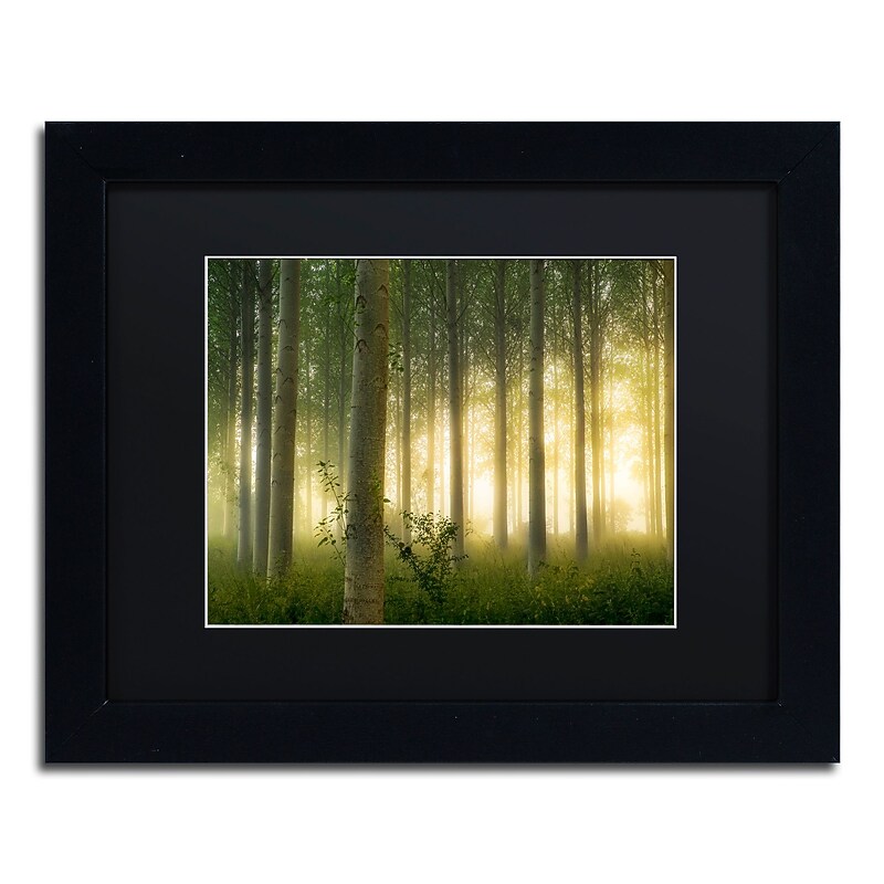 Trademark Fine Art Mathieu Rivrin 'Enchanted World' 11 x 14 (RV0036-B1114BMF) image 1