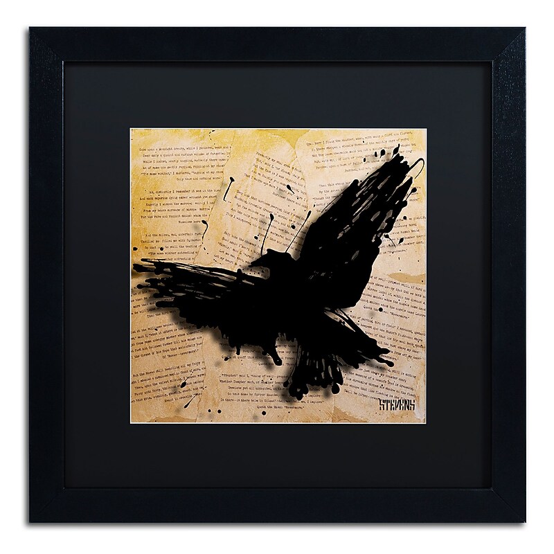 Trademark Fine Art Roderick Stevens 'The Raven 2' 16 x 16 (RS1012-B1616BMF) image 1