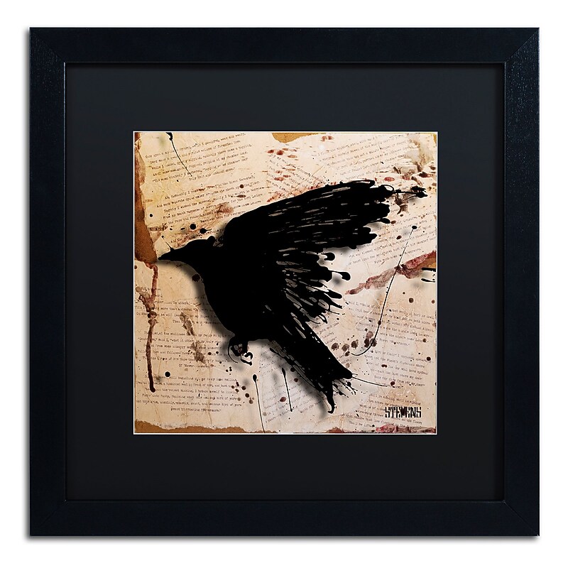 Trademark Fine Art Roderick Stevens 'The Raven 3' 16 x 16 (RS1013-B1616BMF) image 1