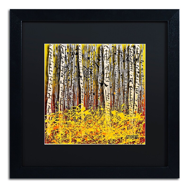 Trademark Fine Art Roderick Stevens 'Fall Aspens' 16 x 16 (RS997-B1616BMF) image 1