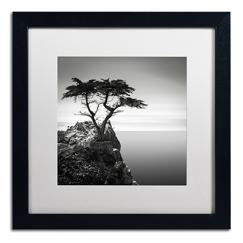 Trademark Fine Art Dave MacVicar 'The Lone Cypress' 16 x 16 Framed Art Print (ALI0820-B1616MF) image 1