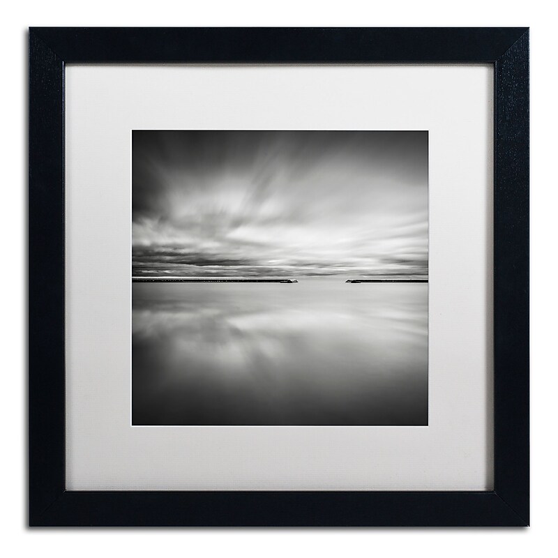 Trademark Fine Art Dave MacVicar 'Double Vision' 16 x 16 Framed Art Print (ALI0828-B1616MF) image 1