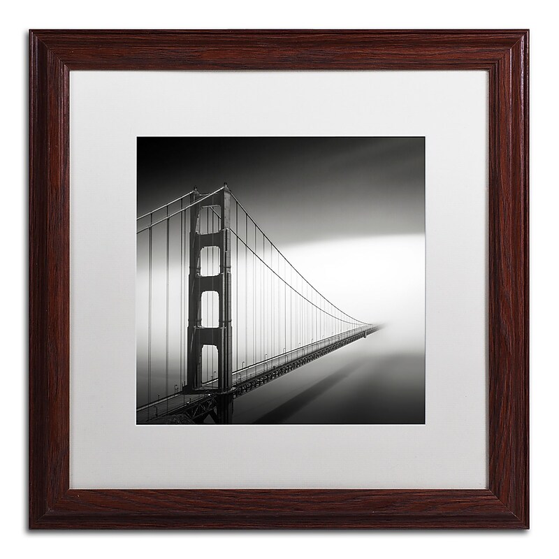 Trademark Fine Art Dave MacVicar 'Into The Mystic' 16 x 16 Framed Art Print (ALI0835-W1616MF) image 1