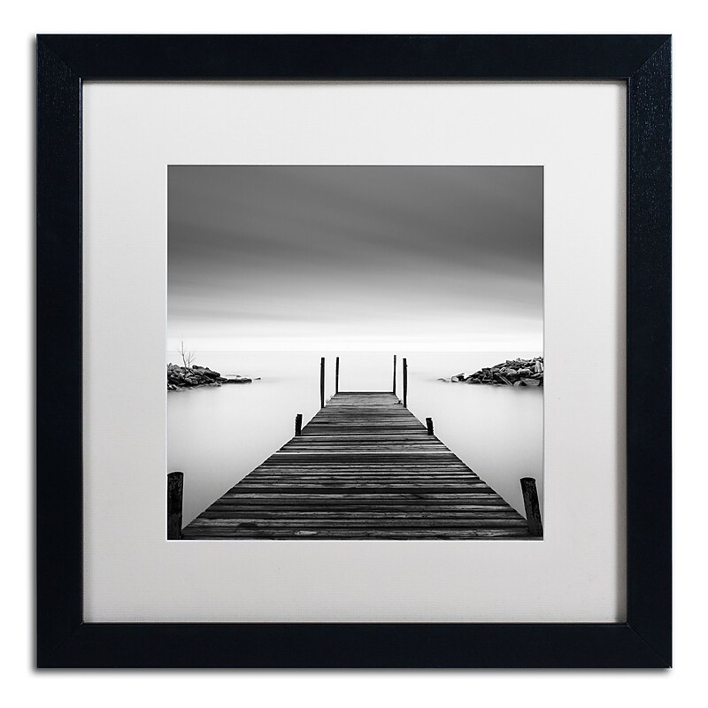 Trademark Fine Art Dave MacVicar 'Leuty' 16 x 16 Framed Art Print (ALI0837-B1616MF) image 1