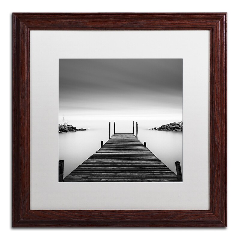 Trademark Fine Art Dave MacVicar 'Leuty' 16 x 16 Framed Art Print (ALI0837-W1616MF) image 1