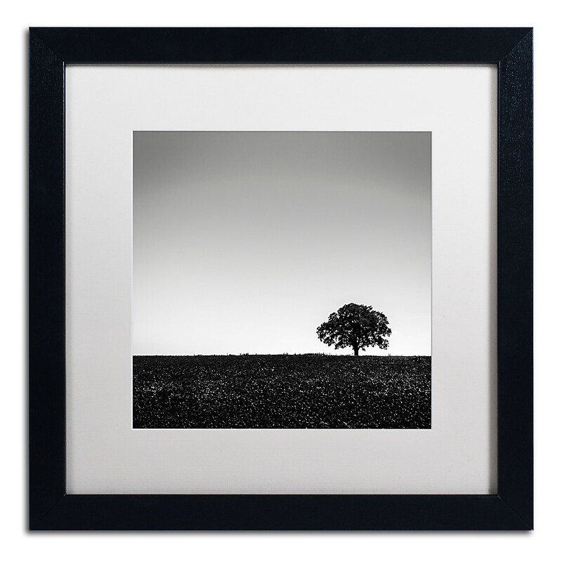 Trademark Fine Art Dave MacVicar 'One Tree Hill' 16 x 16 (ALI0843-B1616MF) image 1