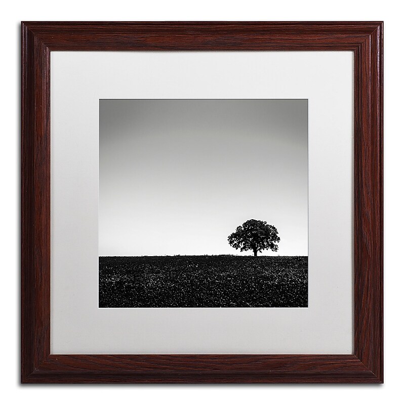 Trademark Fine Art Dave MacVicar 'One Tree Hill' 16 x 16 (ALI0843-W1616MF) image 1