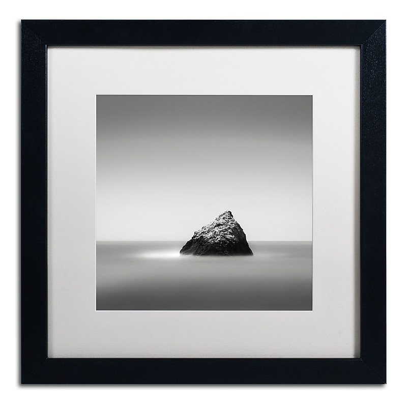 Trademark Fine Art Dave MacVicar 'Pointed' 16 x 16 Framed Art Print (ALI0847-B1616MF) image 1