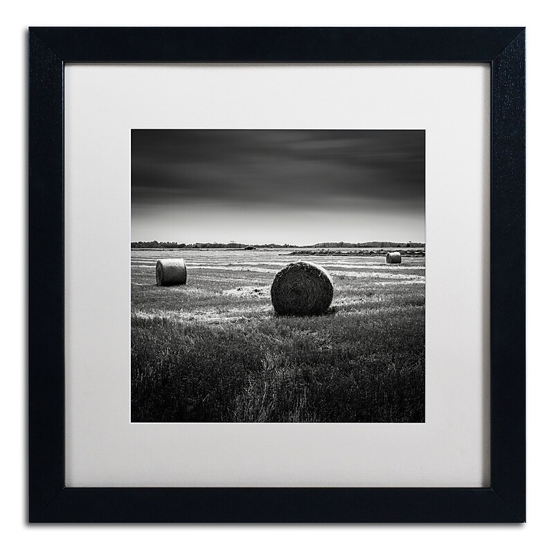 Trademark Fine Art Dave MacVicar 'Rural' 16 x 16 (ALI0848-B1616MF) image 1