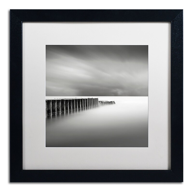 Trademark Fine Art Dave MacVicar 'Stormy' 16 x 16 Framed Art Print (ALI0855-B1616MF) image 1
