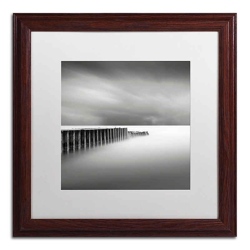 Trademark Fine Art Dave MacVicar 'Stormy' 16 x 16 Framed Art Print (ALI0855-W1616MF) image 1