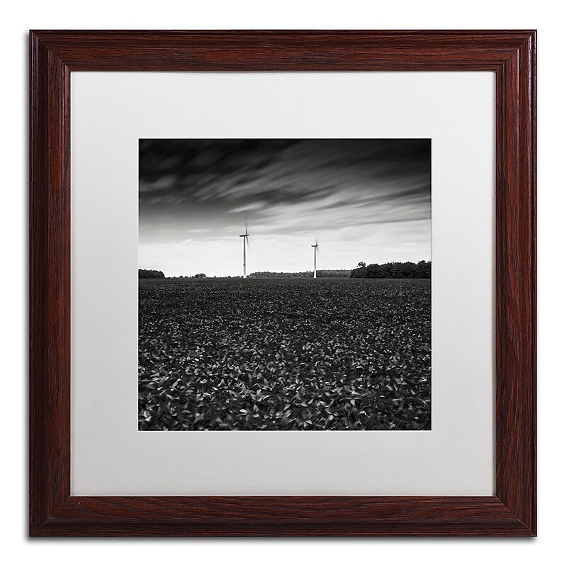 Trademark Fine Art Dave MacVicar 'Wind' 16 x 16 Framed Art Print (ALI0867-W1616MF) image 1