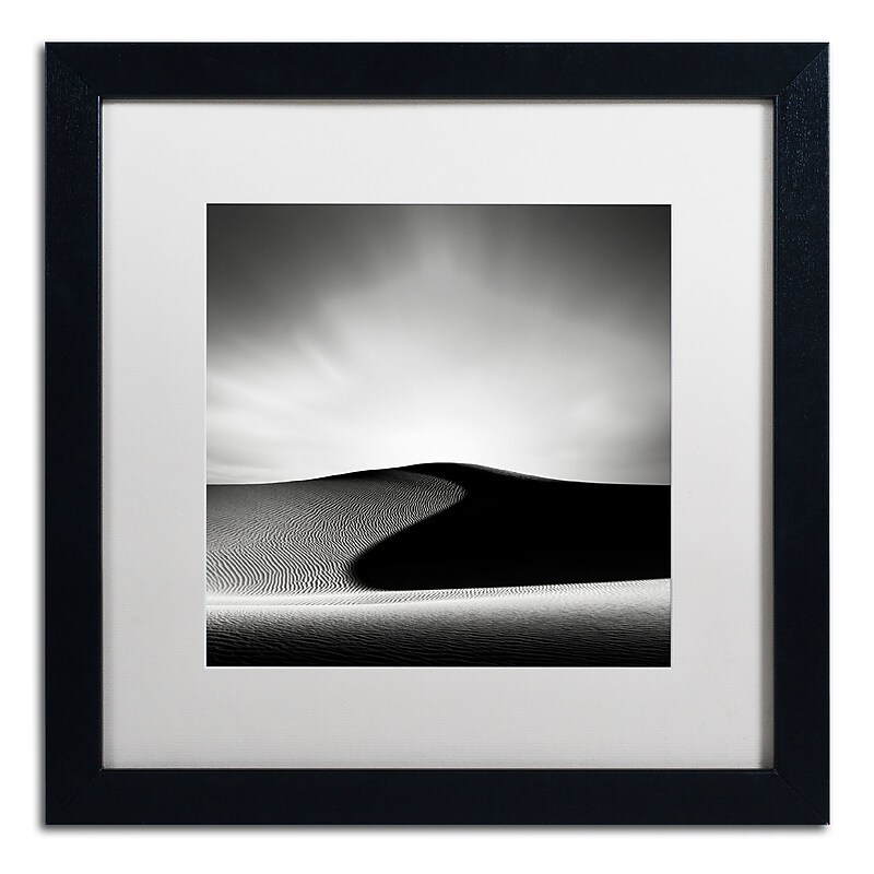 Trademark Fine Art Dave MacVicar 'Dark Shadows' 16 x 16 Framed Art Print (ALI0869-B1616MF) image 1
