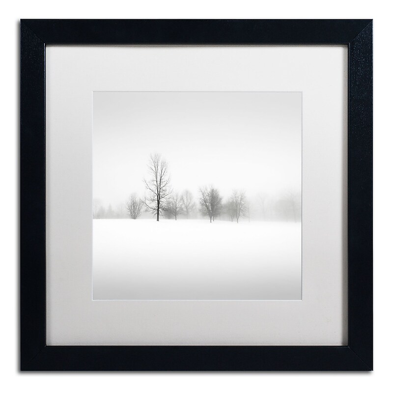 Trademark Fine Art Dave MacVicar 'Winter Fog' 16 x 16 Framed Art Print (ALI0879-B1616MF) image 1