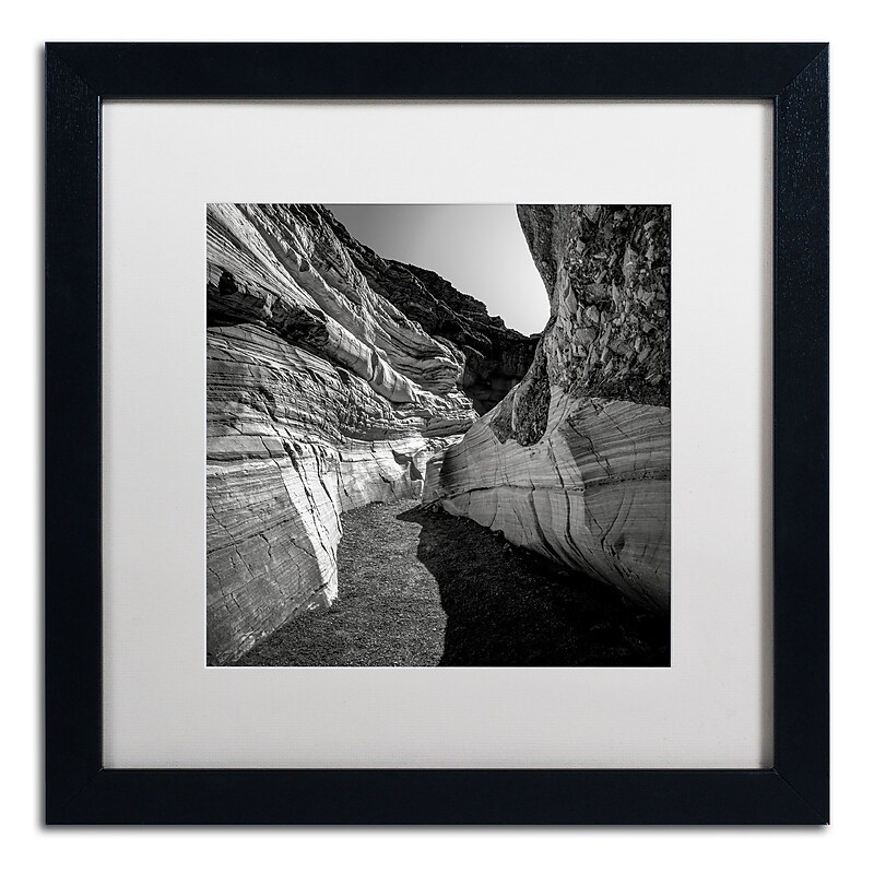 Trademark Fine Art Dave MacVicar 'Yin Yang' 16 x 16 (ALI0880-B1616MF) image 1