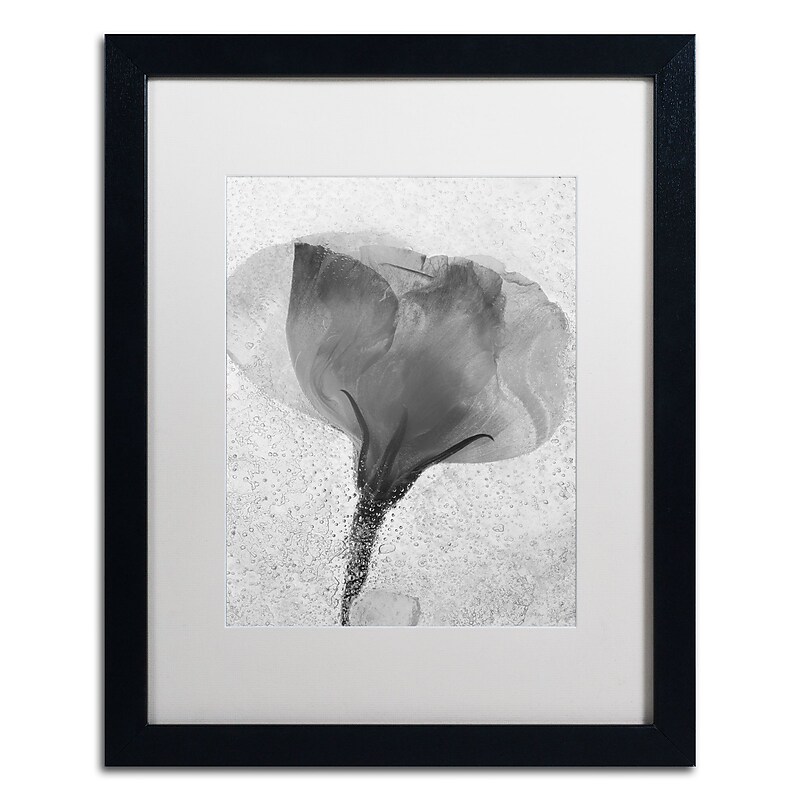 Trademark Fine Art Moises Levy 'Flowers on Ice BW-2' 16 x 20 (ALI0732-B1620MF) image 1