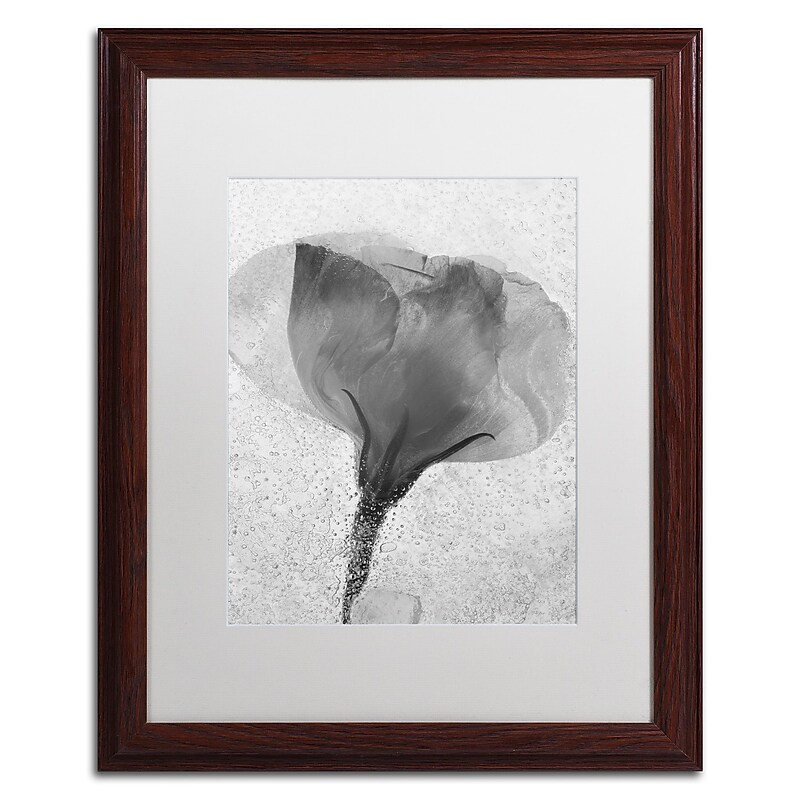 Trademark Fine Art Moises Levy 'Flowers on Ice BW-2' 16 x 20 (ALI0732-W1620MF) image 1