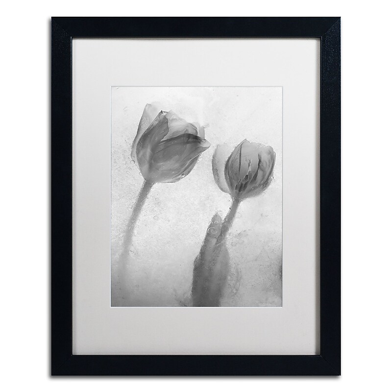 Trademark Fine Art Moises Levy 'Flowers on Ice-1' 16 x 20 (ALI0733-B1620MF) image 1