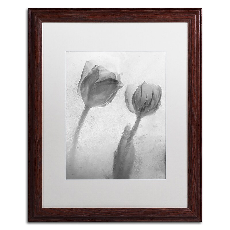 Trademark Fine Art Moises Levy 'Flowers on Ice-1' 16 x 20 (ALI0733-W1620MF) image 1