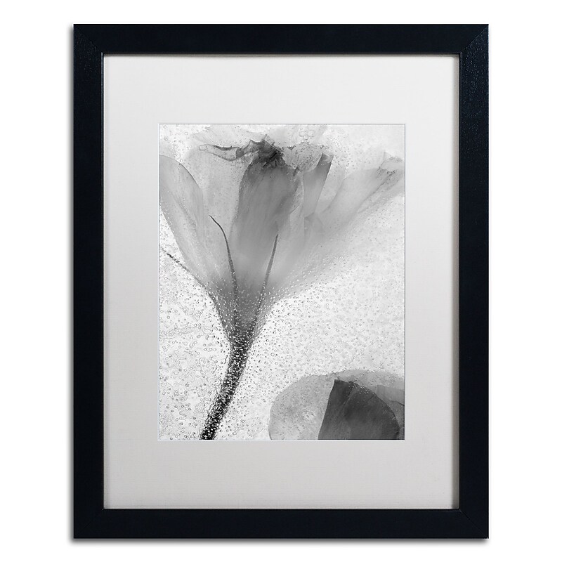 Trademark Fine Art Moises Levy 'Flowers on Ice-13' 16 x 20 (ALI0734-B1620MF) image 1
