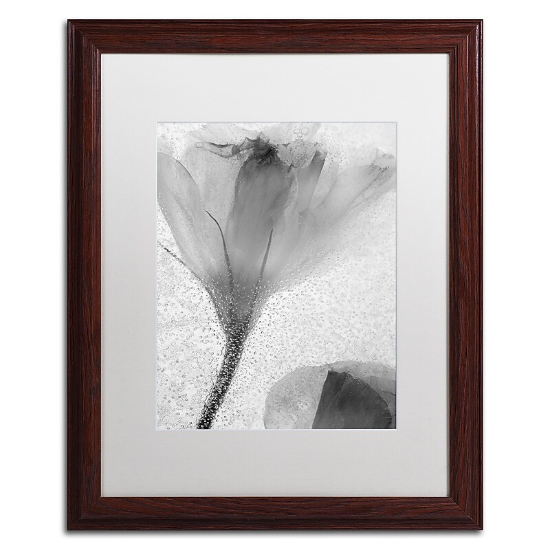 Trademark Fine Art Moises Levy 'Flowers on Ice-13' 16 x 20 (ALI0734-W1620MF) image 1