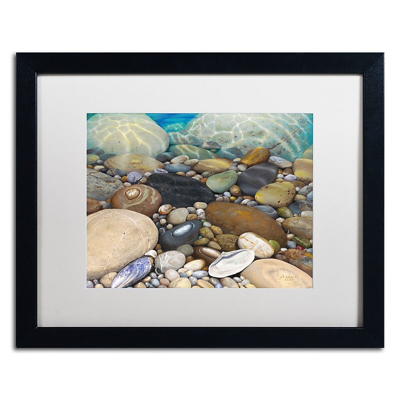 Trademark Fine Art Stephen Stavast 'Shoreline Treasures' 16 x 20 (ALI0746-B1620MF) image 1