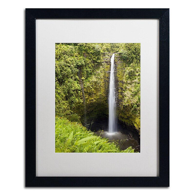 Trademark Fine Art Chris Moyer 'Akaka Falls' 16 x 20 Framed Art Print (ALI0769-B1620MF) image 1