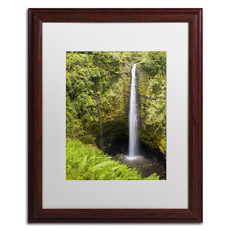 Trademark Fine Art Chris Moyer 'Akaka Falls' 16 x 20 Framed Art Print (ALI0769-W1620MF) image 1