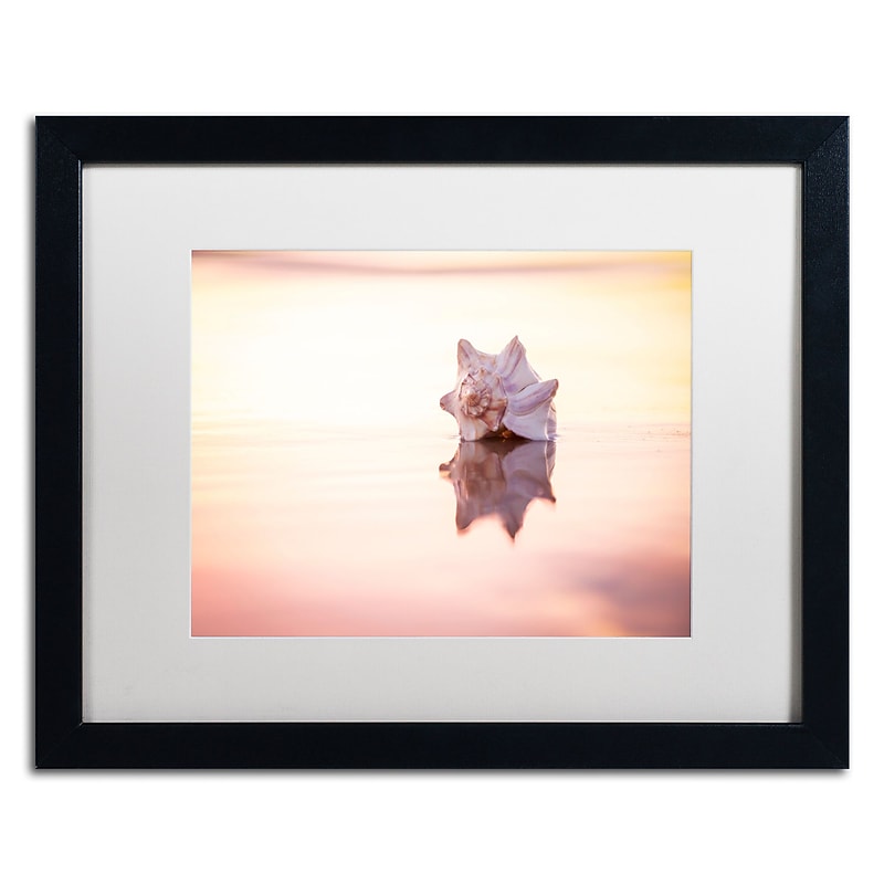 Trademark Fine Art Chris Moyer 'King of the Beach' 16 x 20 Framed Art Print (ALI0772-B1620MF) image 1