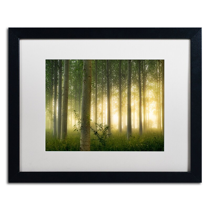 Trademark Fine Art Mathieu Rivrin 'Enchanted World' 16 x 20 (RV0036-B1620MF) image 1