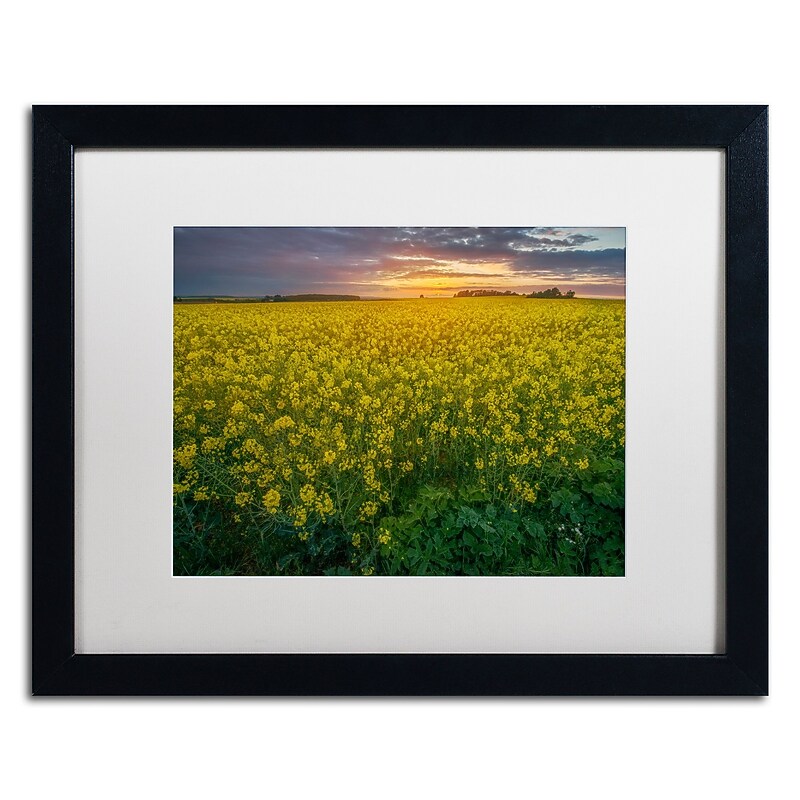 Trademark Fine Art Mathieu Rivrin 'Yellow Planet' 16 x 20 (RV0044-B1620MF) image 1